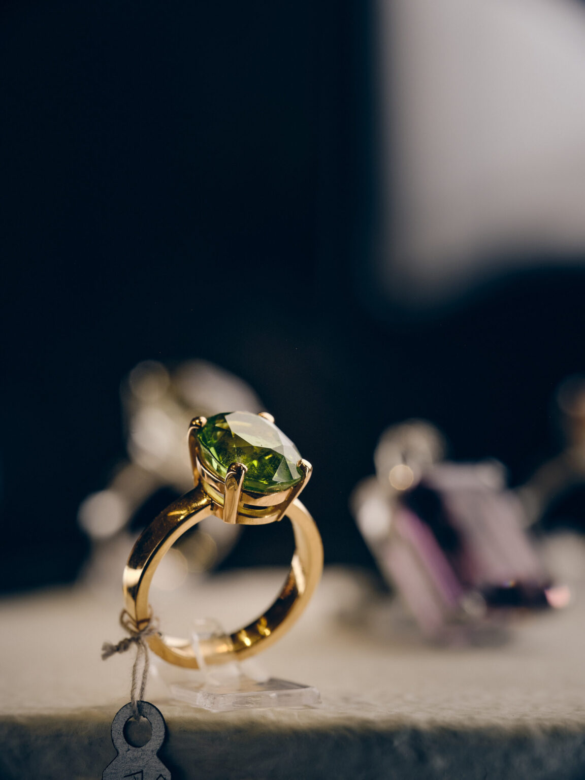 lantz1003 scaled.jpg